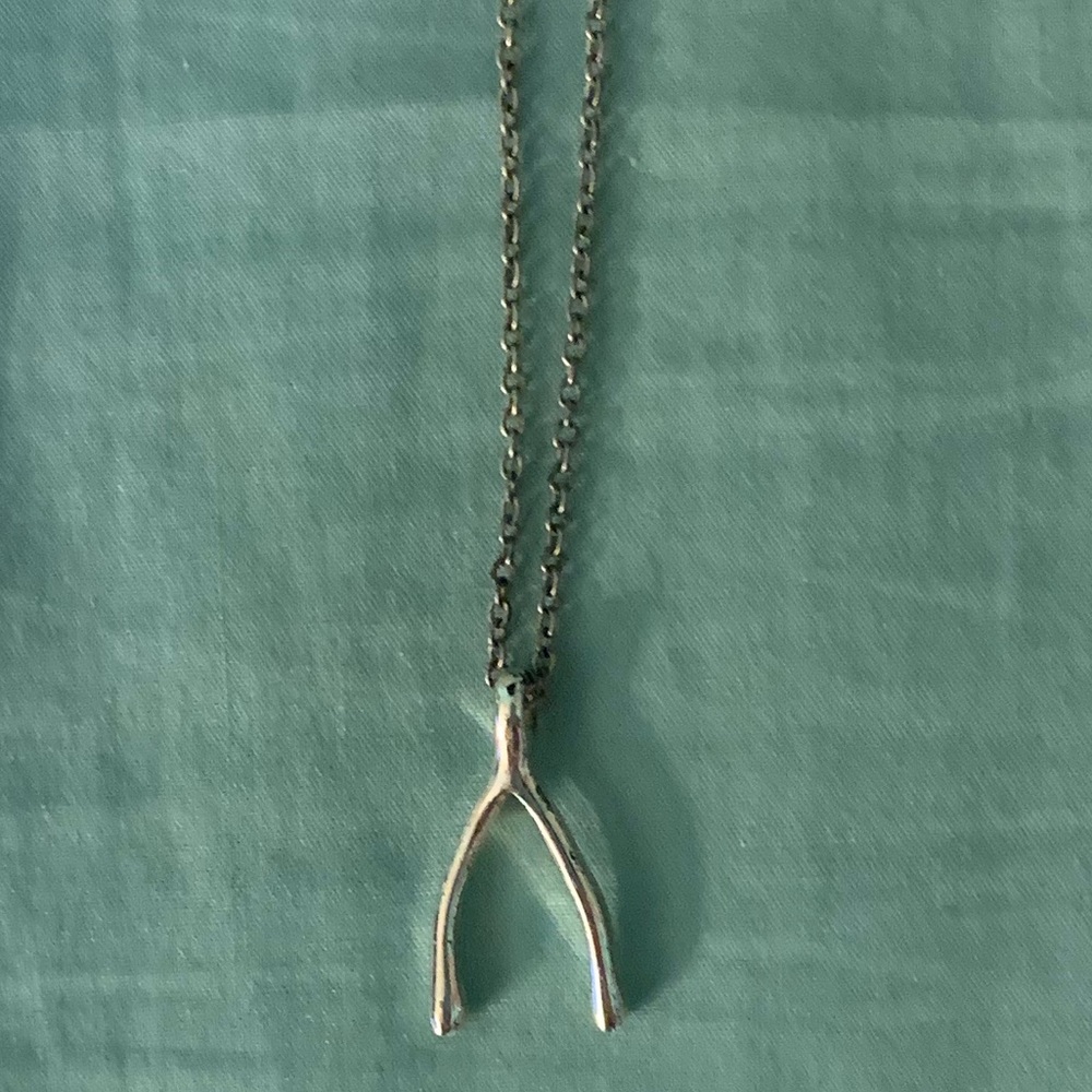 Silver Wishbone Necklace